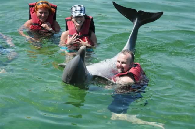 Cuba attractions – Dolphins' Show ( Swim with dolphins )